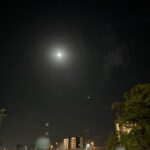 すういるよ( U – ·̫ – )ﾉ♡