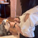 退勤🚪ふゆり⟡.·