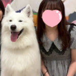 みはる18時からいるよ