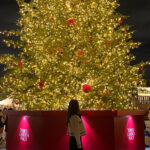 🎄✨出勤したよ✨🎄