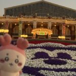 ちぃ明日いるよ🤍