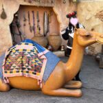 いずみ帰ります🏠