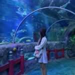 今日はおやすみ✨かな